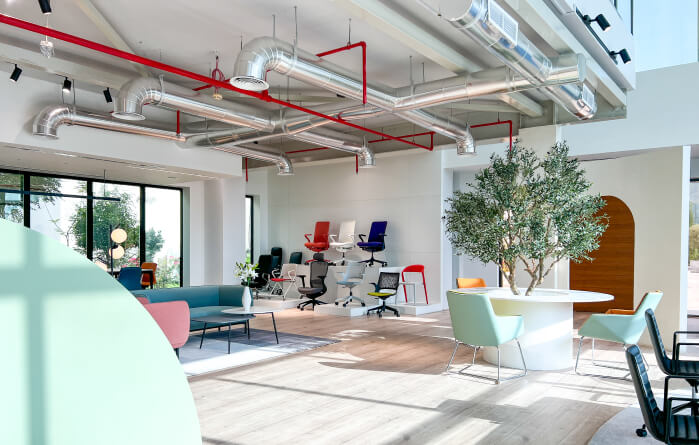 Get Started with Our Professional Services